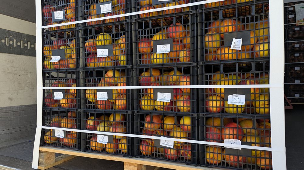 Στιγμιότυπα από τη διανομή φρούτων σε πολύτεκνες οικογένειες