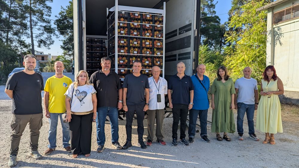 Στιγμιότυπα από τη διανομή φρούτων σε πολύτεκνες οικογένειες