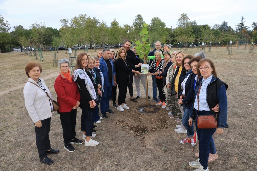 Στιγμιότυπο από την δενδροφύτευση πλάτανου στο Πάρκο Χρωμάτων (Χατζηχαλάρ)