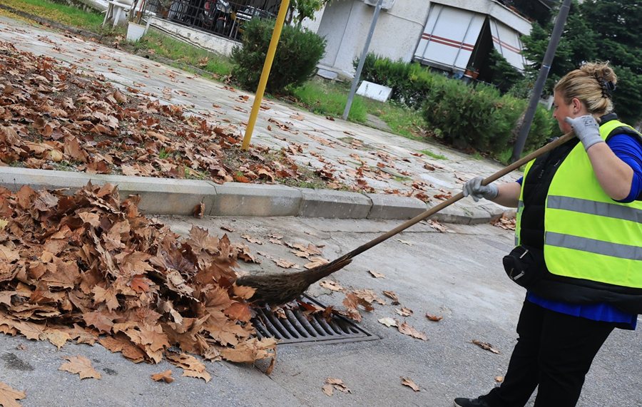 251203 deyal freatia0